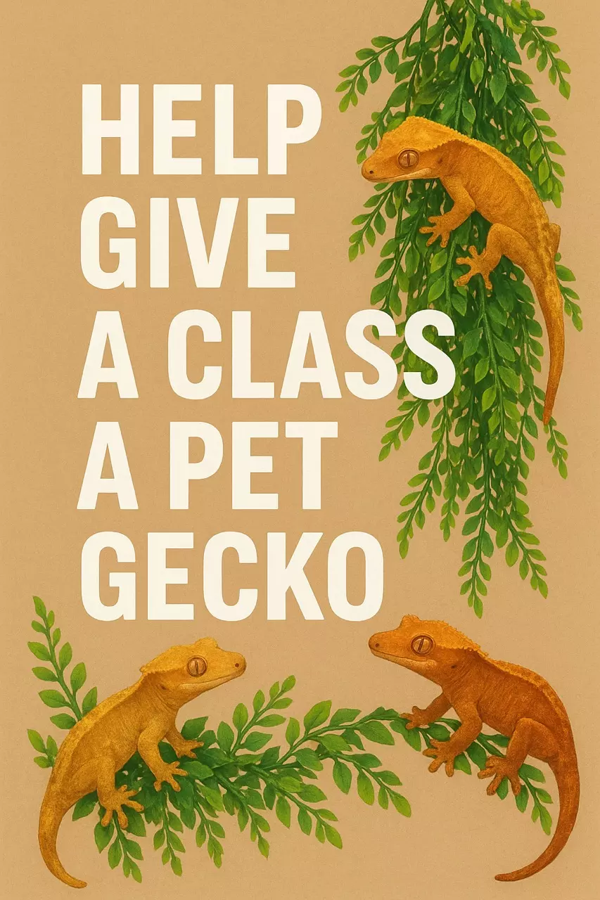 plant/Give a class a gecko-0