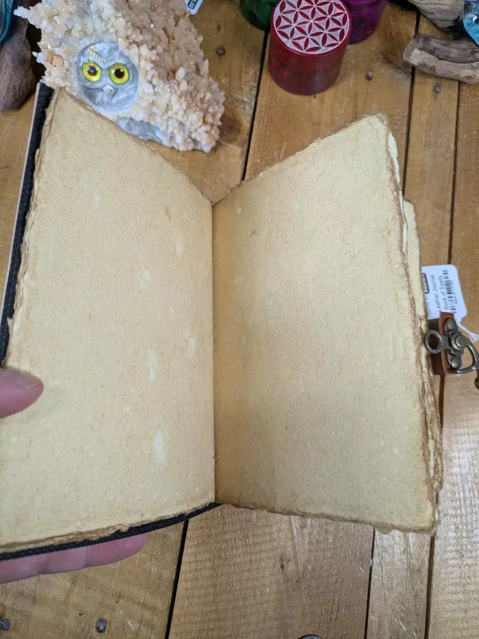 plant/#11197 Book of Spells Leather Journal-1