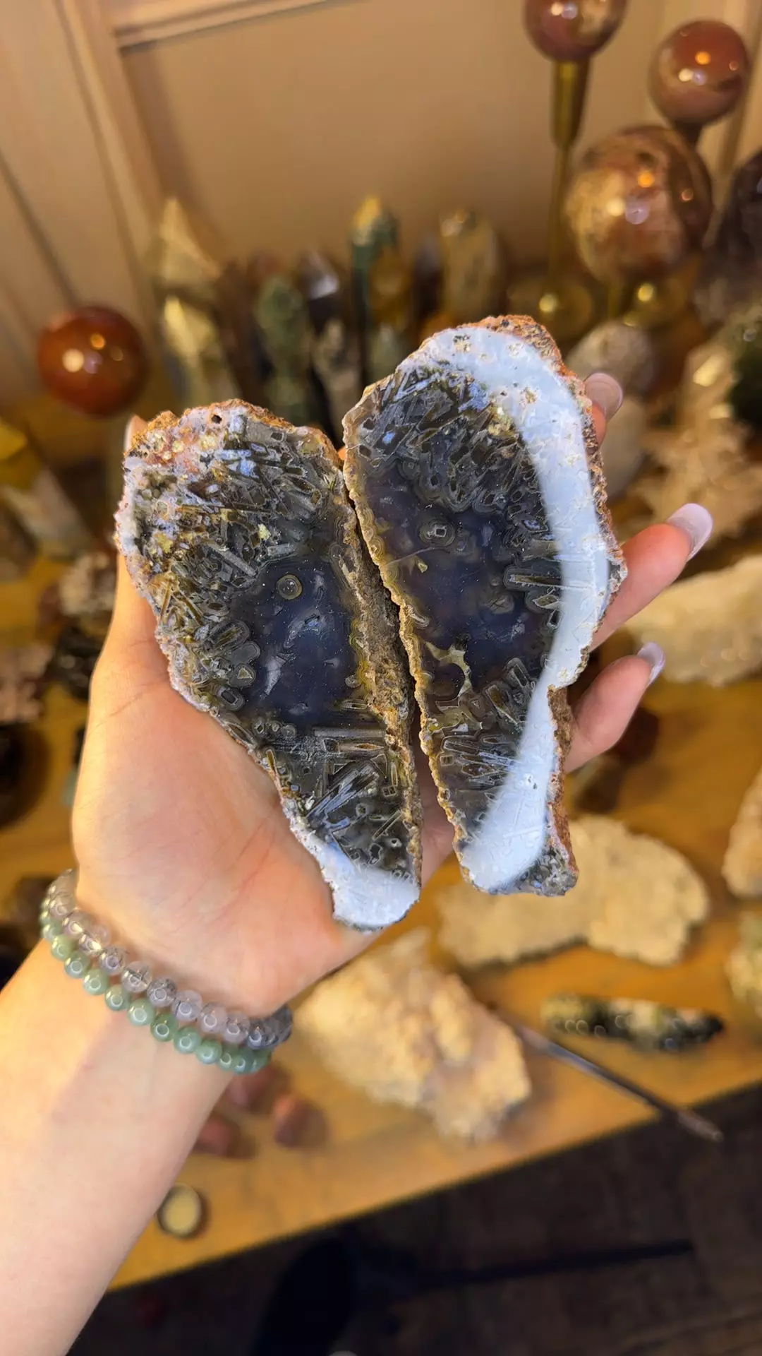 plant/Tree stick agate wing pair-0
