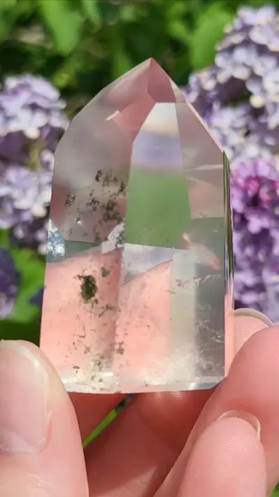 plant/Chlorite in quartz-4-thumbnail
