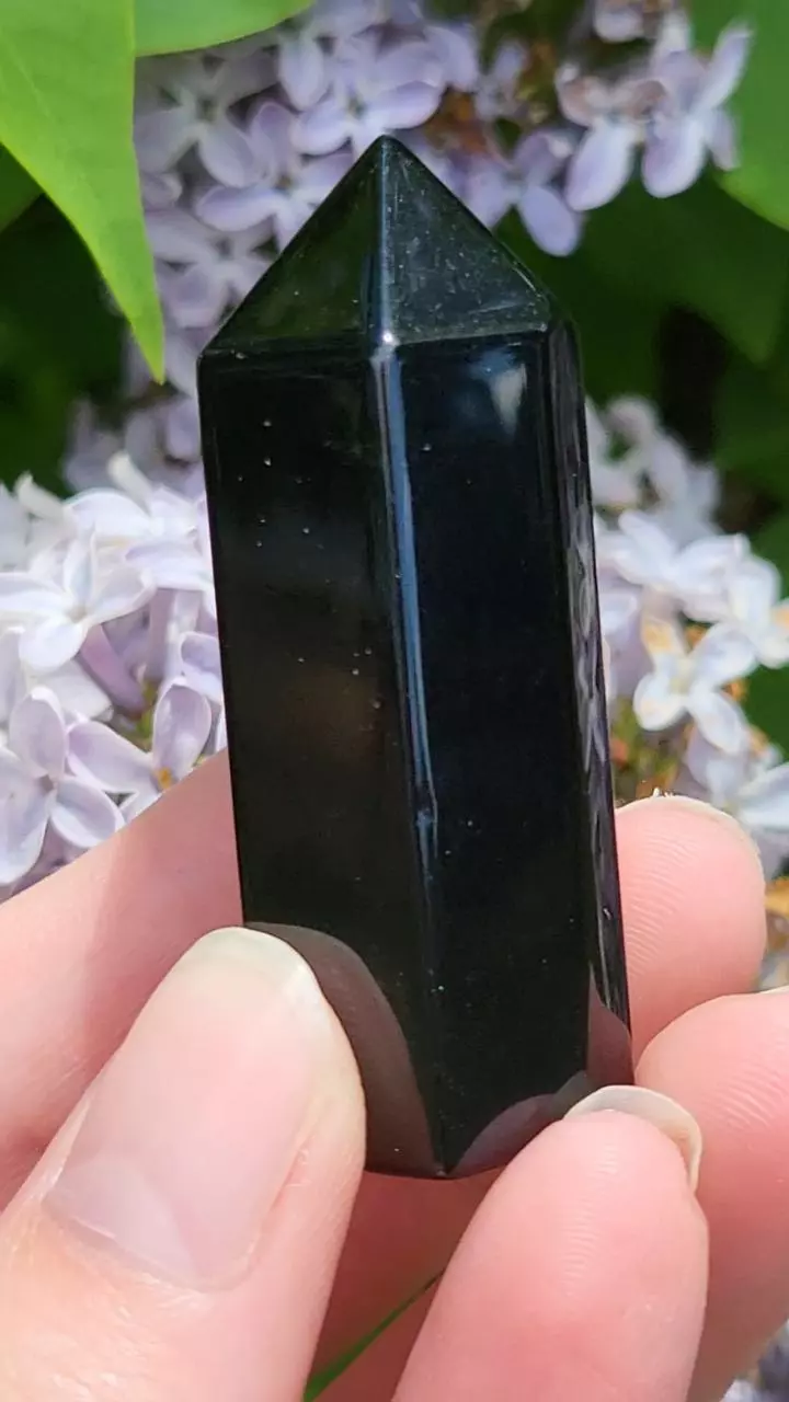 plant/Obsidian tower-1