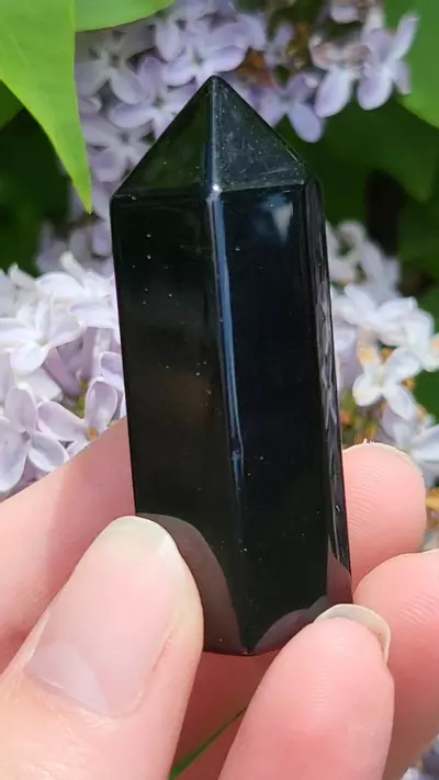 plant/Obsidian tower-1-thumbnail