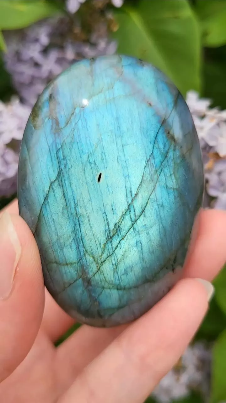 plant/Labradorite palmstone-0