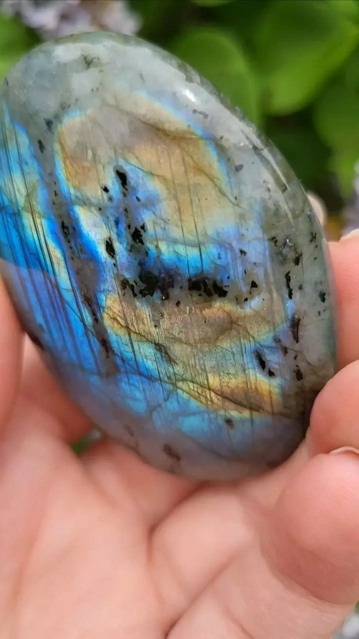 plant/Labradorite palmstone-1
