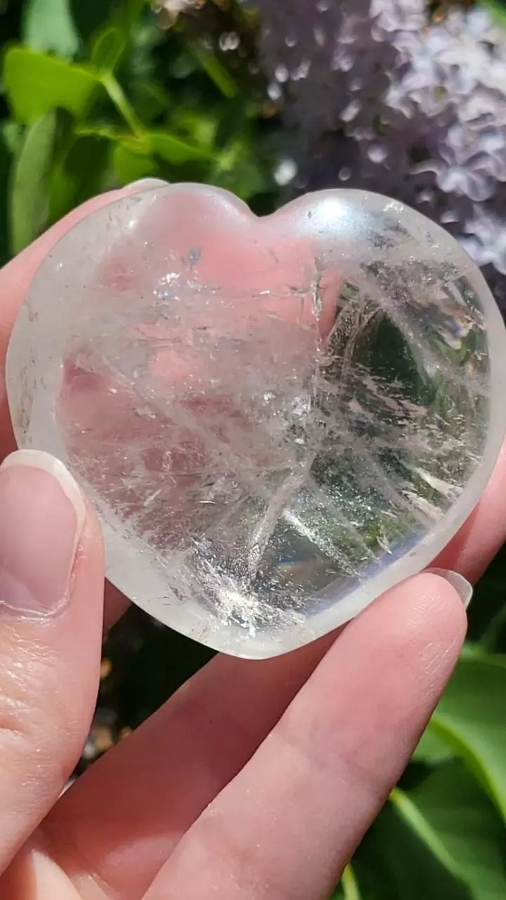 plant/Clear quartz heart-2