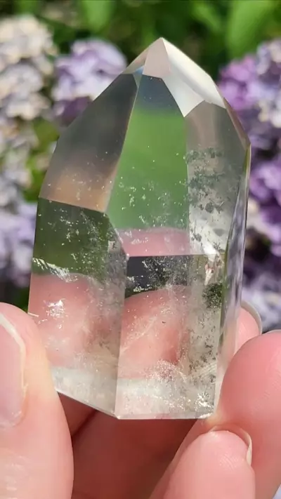 plant/Chlorite in quartz-0-thumbnail