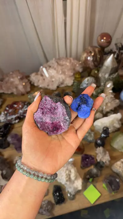 plant/Merrily-0-thumbnail