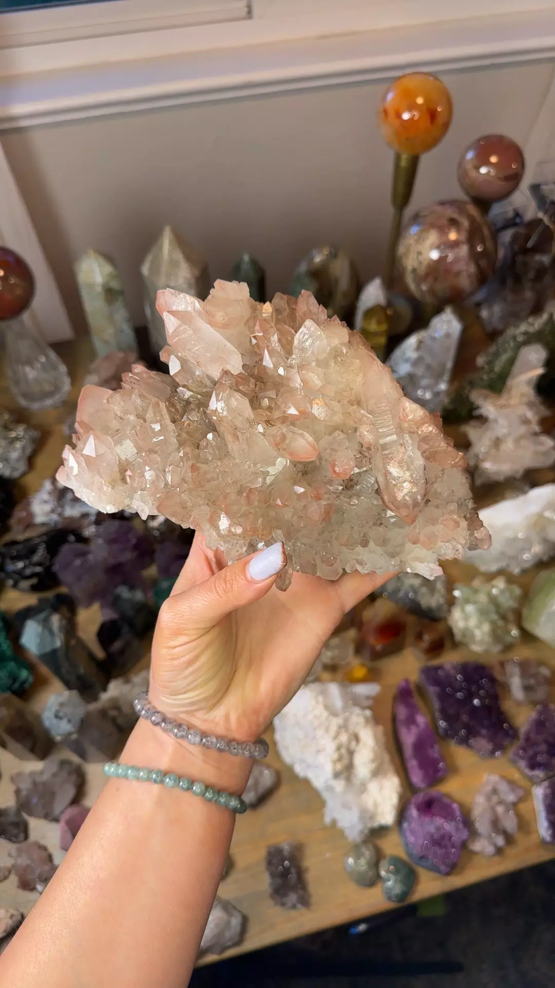 plant/Pink Lemurian cluster-0
