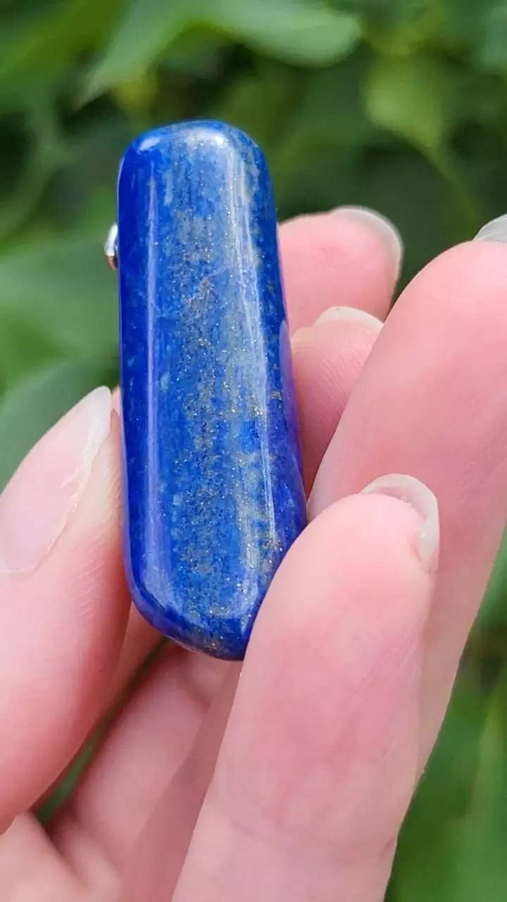 plant/Lapis pendant-2