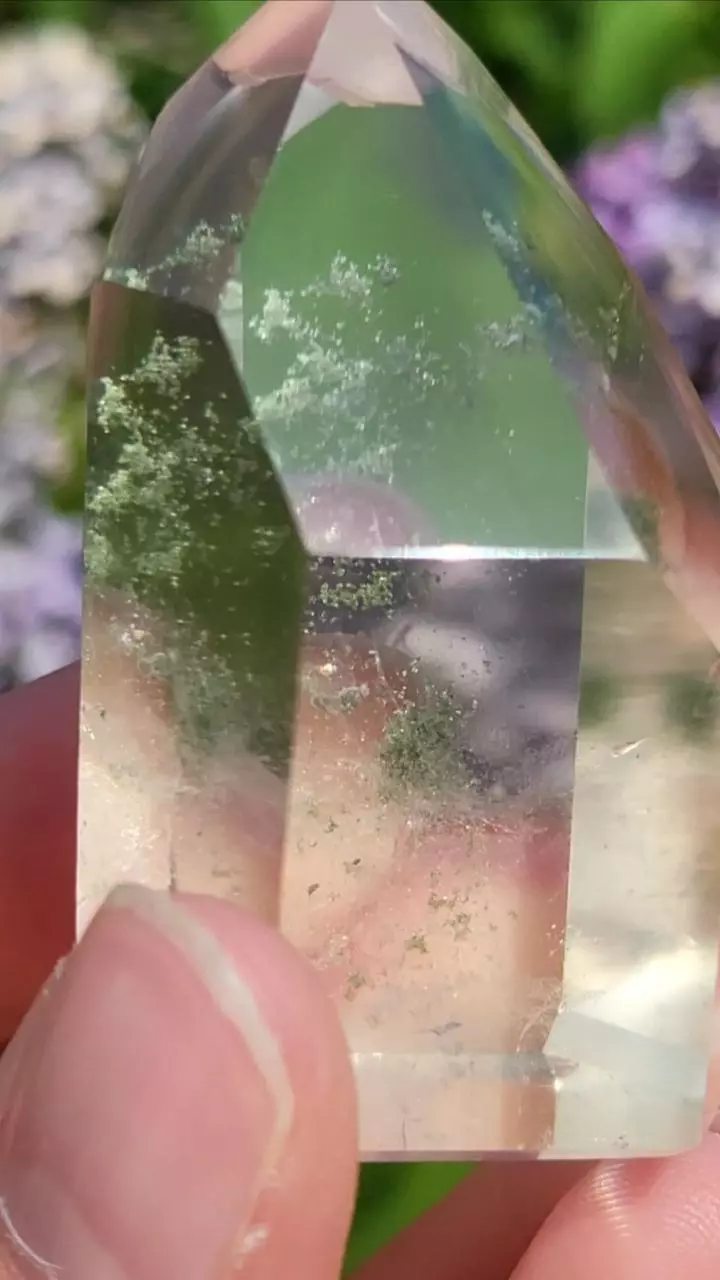 plant/Chlorite in quartz-1