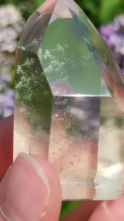 plant/Chlorite in quartz-1-thumbnail