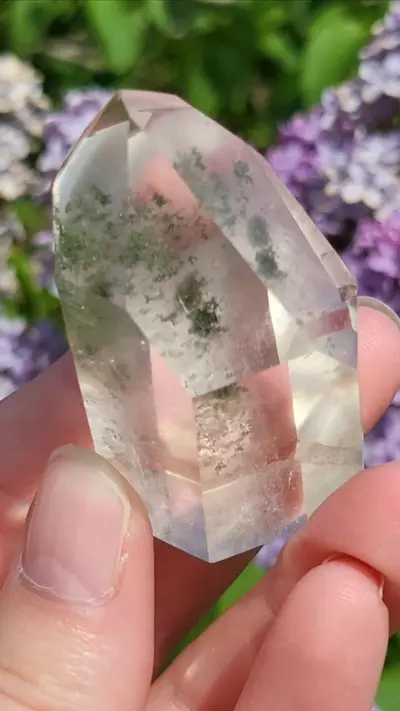 plant/Chlorite in quartz-3-thumbnail