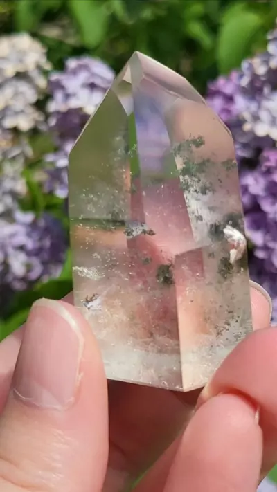 plant/Chlorite in quartz-2-thumbnail
