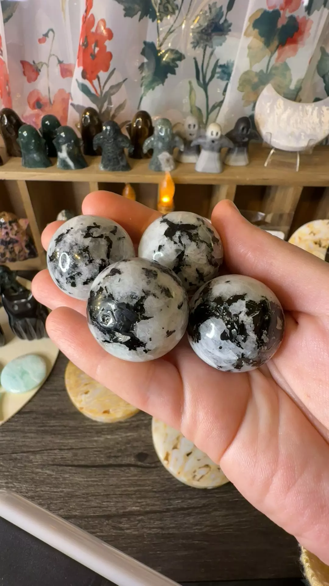 plant/$12 | Rainbow Moonstone Sphere 30mm-0