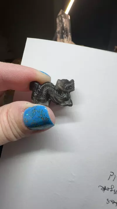 plant/Lil Long Wang Silver Sheen Obsidian-0-thumbnail