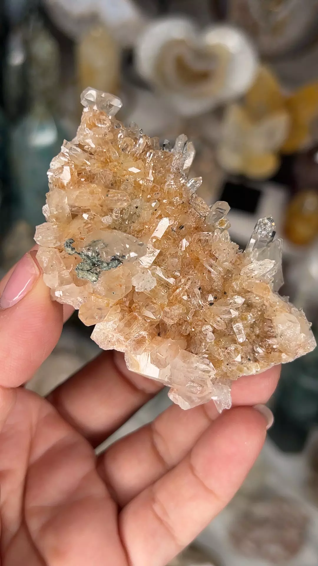 plant/Columbian Lemurian GH Green chlorite and pink  lithium-0