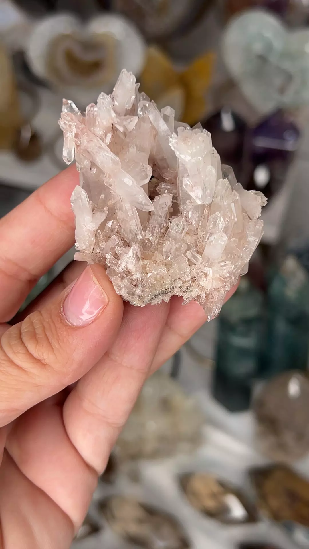 plant/Columbian Lemurian Pink Lithium-0