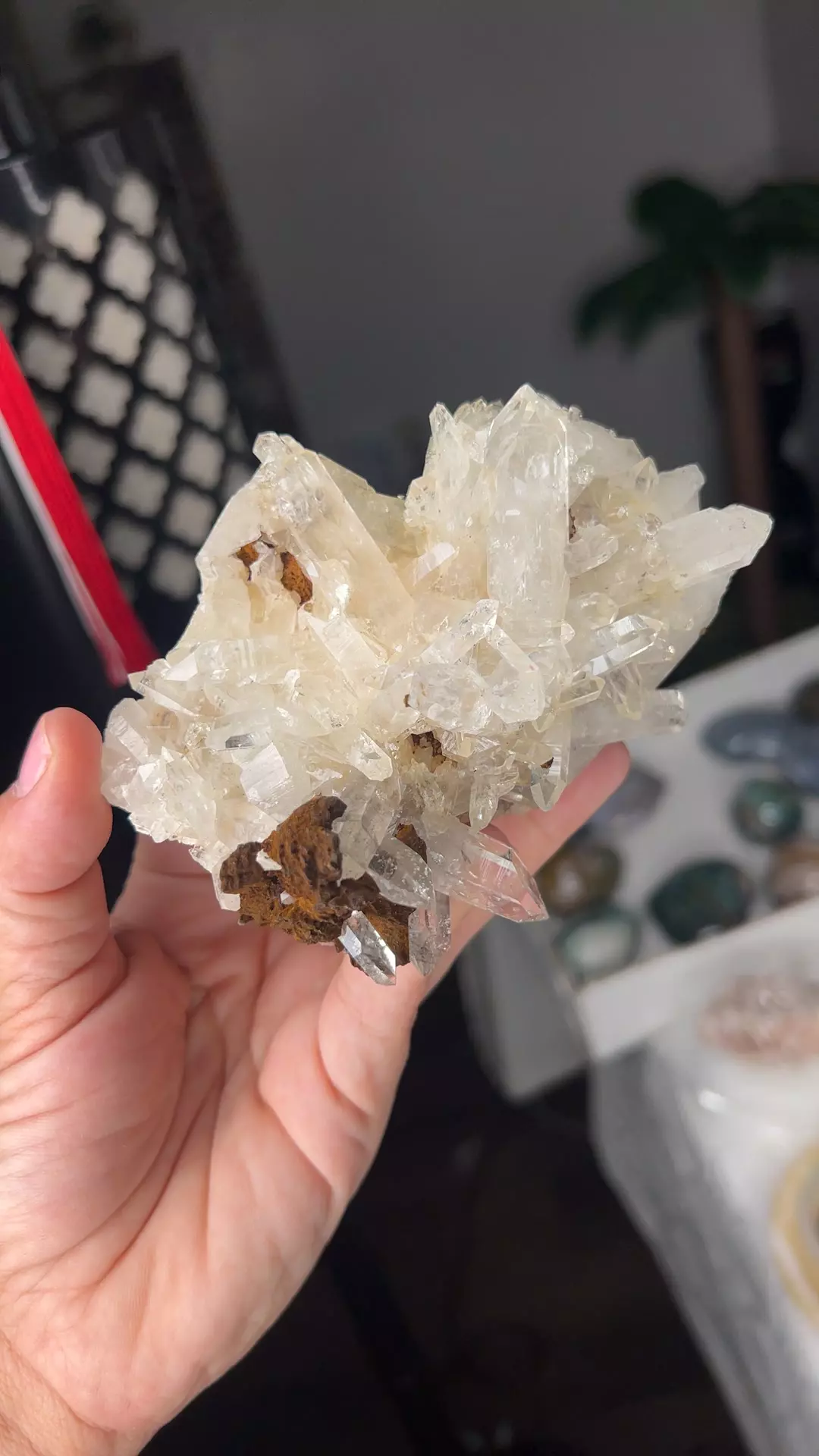 plant/Self Standing Columbian Lemurian w Goethite-0