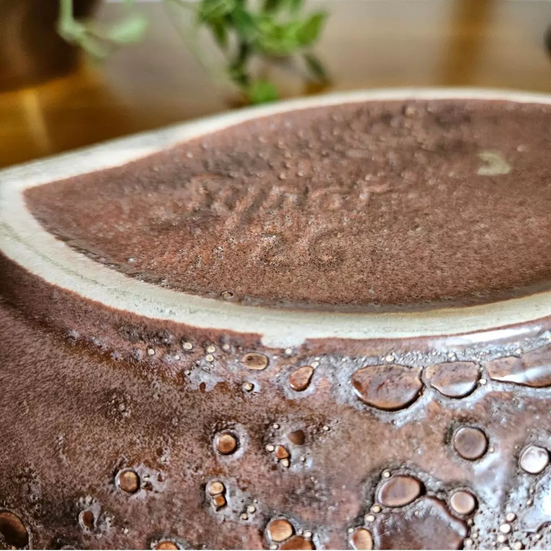 plant/Synar Ceramics Lava Glaze Shallow Planter-5