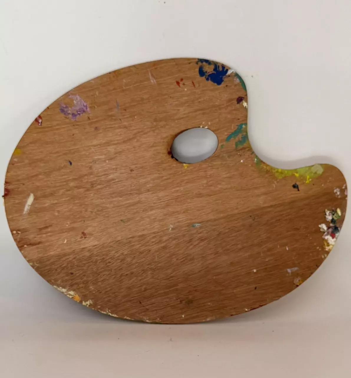 plant/Vintage Artist’s Painter’s Palette – Sourced in Avignon, France-3