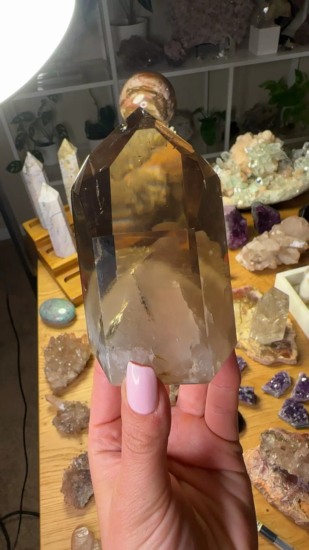 plant/AAA Smoky phantom Quartz-0