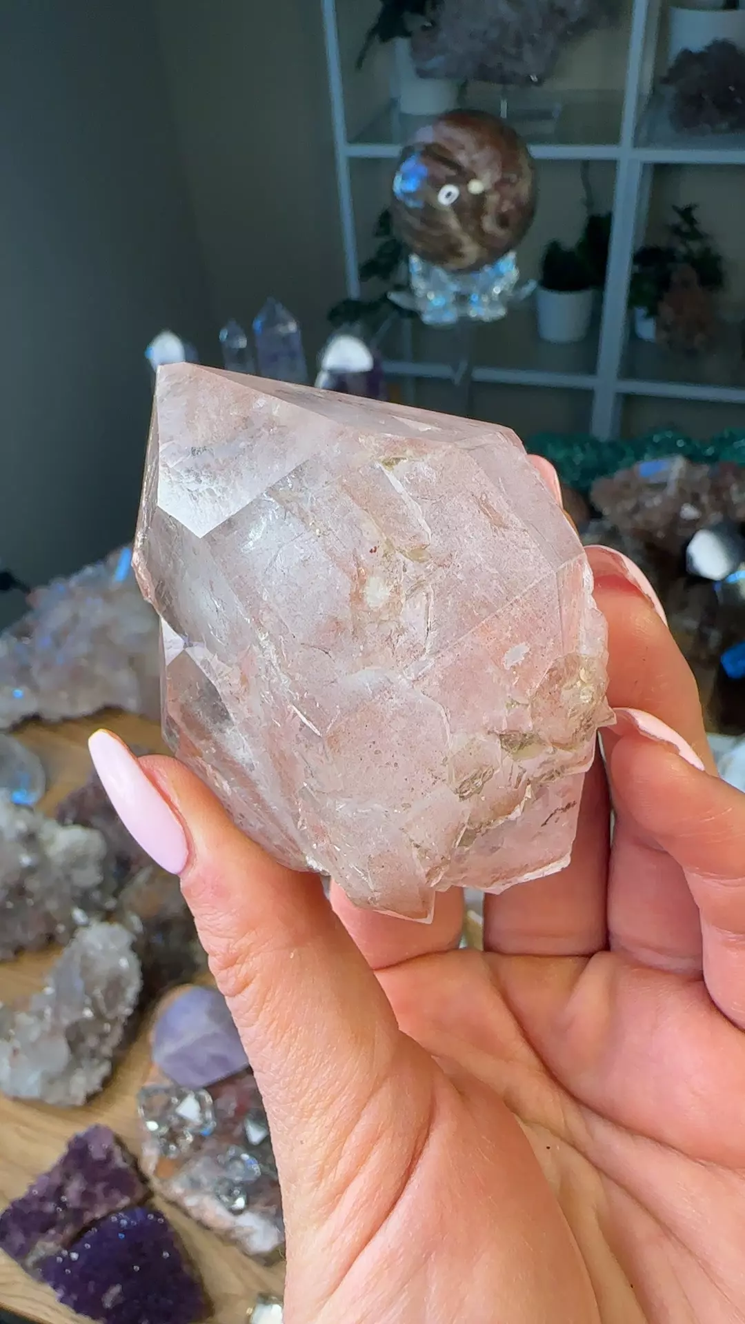 plant/Scarlet pink lEMURIAN DT-0