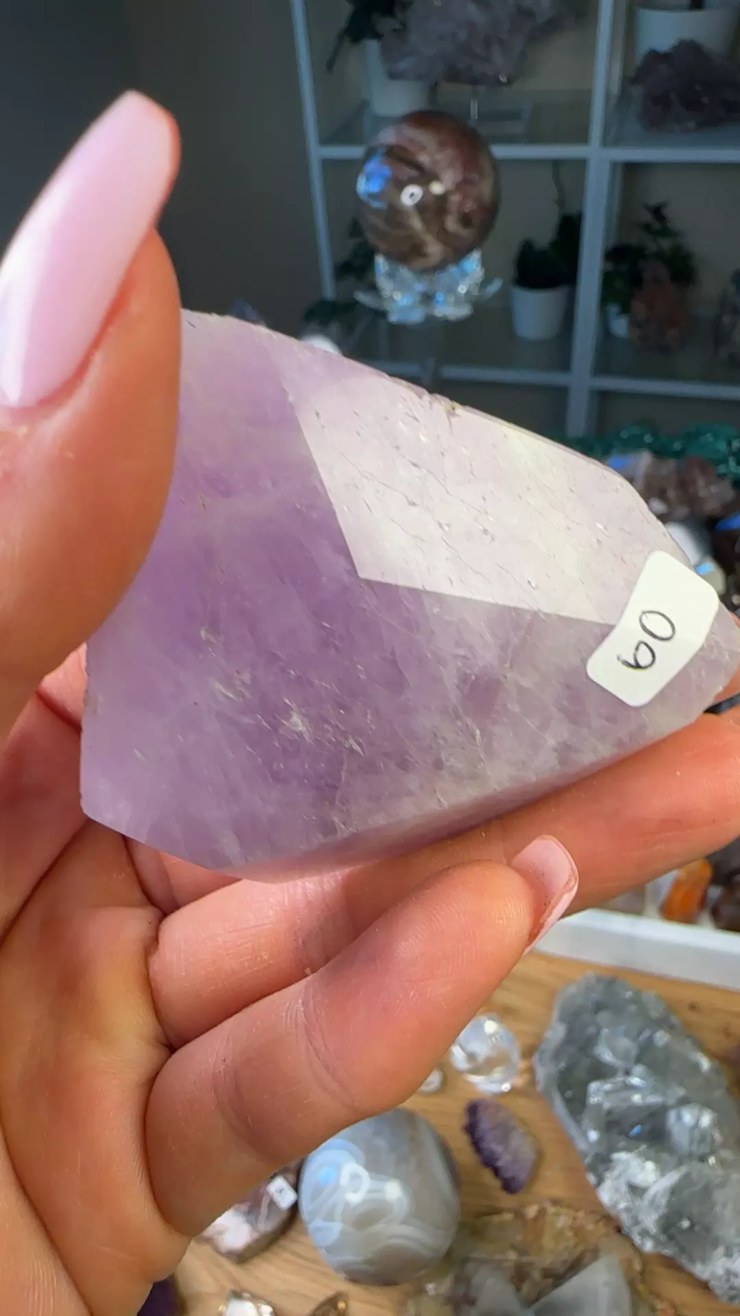 plant/Kunzite-0