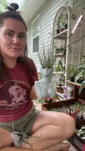 plant/Lady Charlotte-0