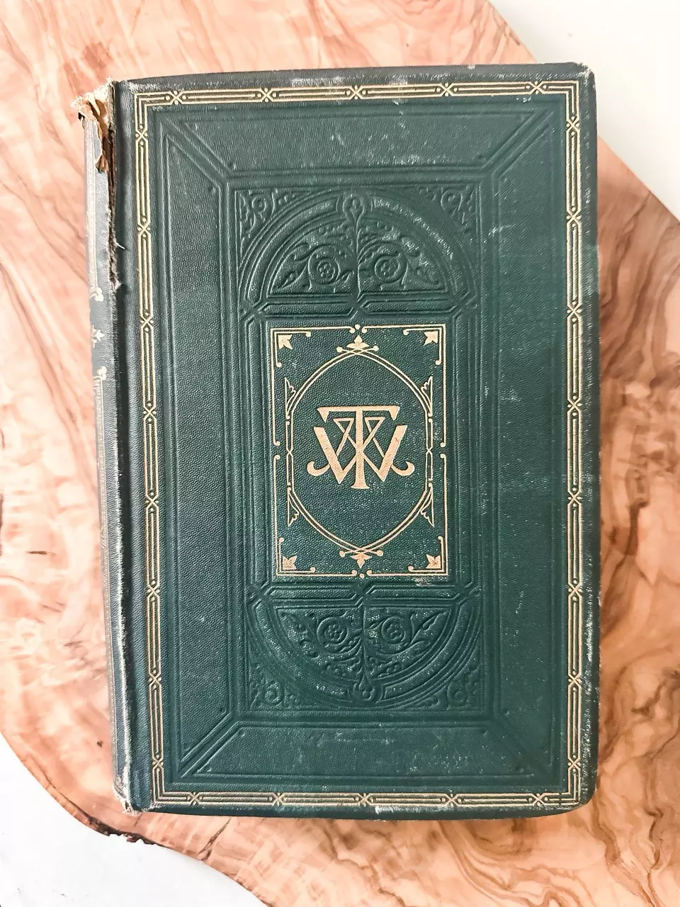 plant/Antique 1897 “The Newcomer’s”-0