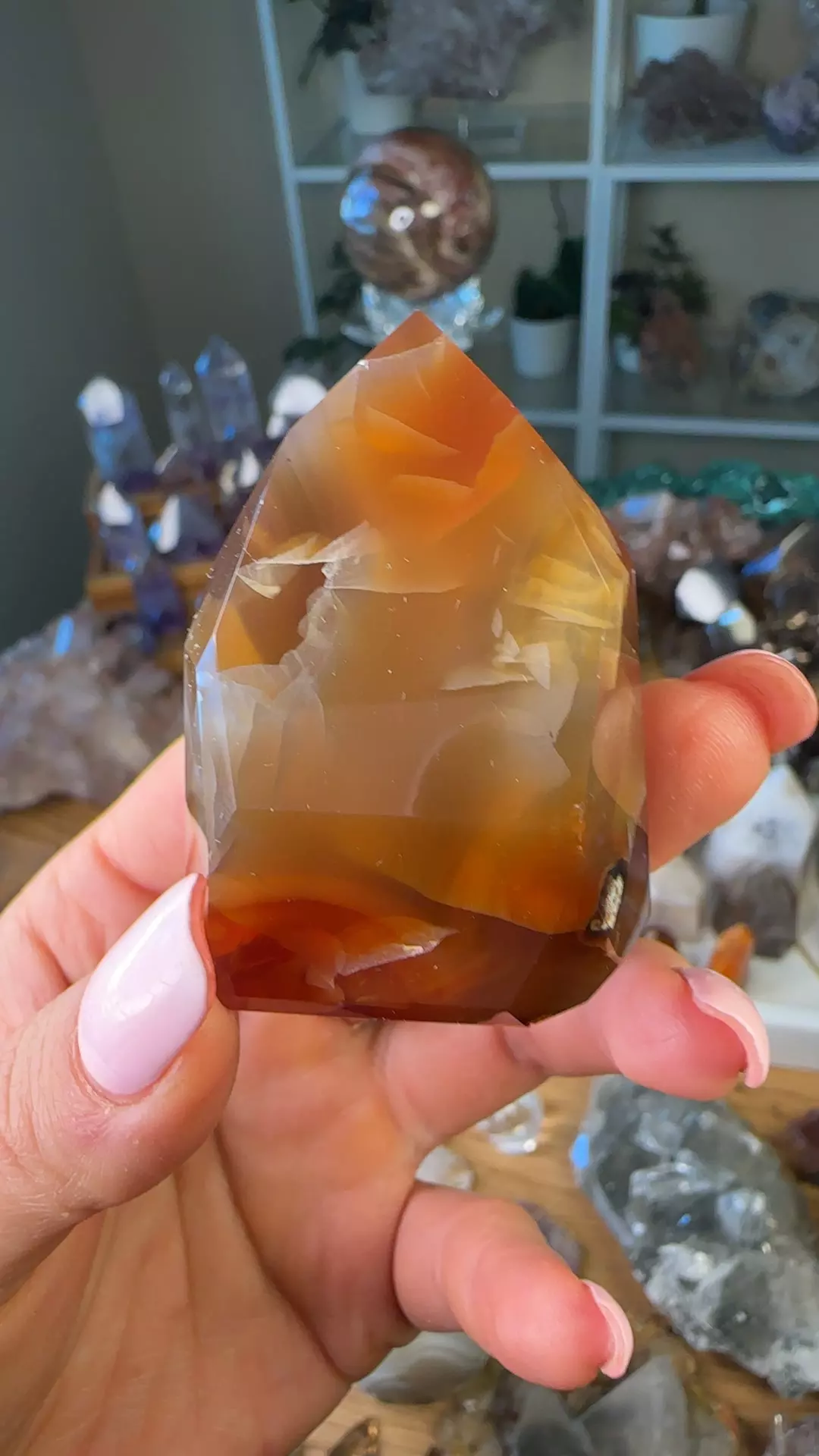 plant/Extra quality carnelian-0