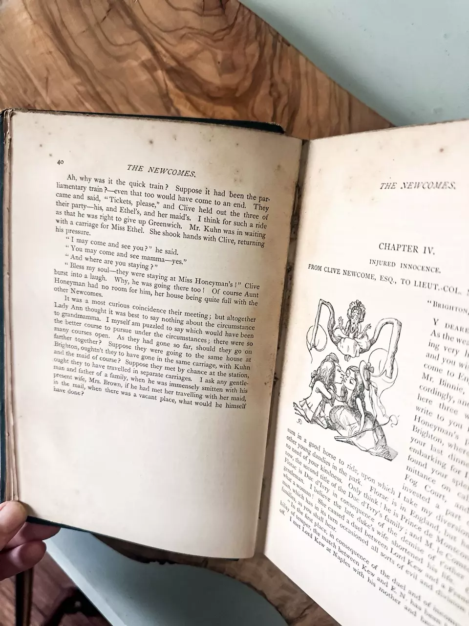 plant/Antique 1897 “The Newcomer’s”-3