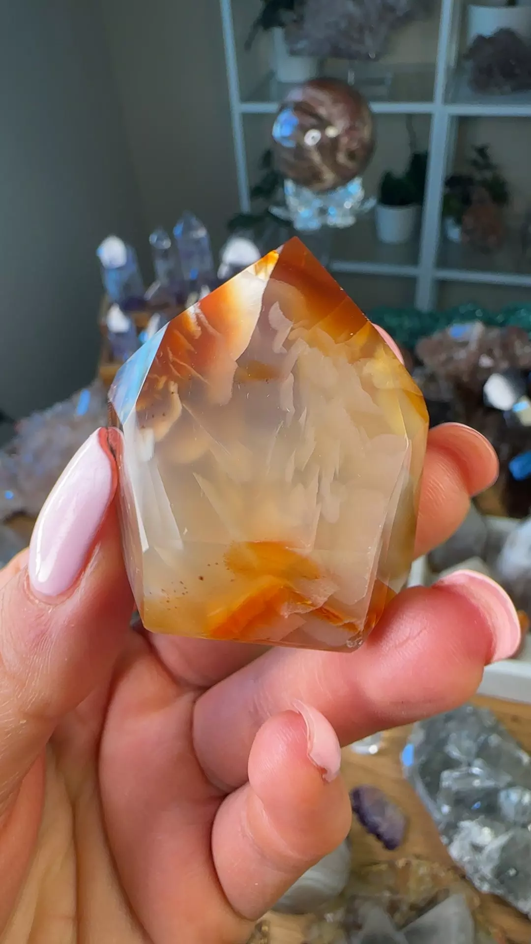plant/Extra quality carnelian-0