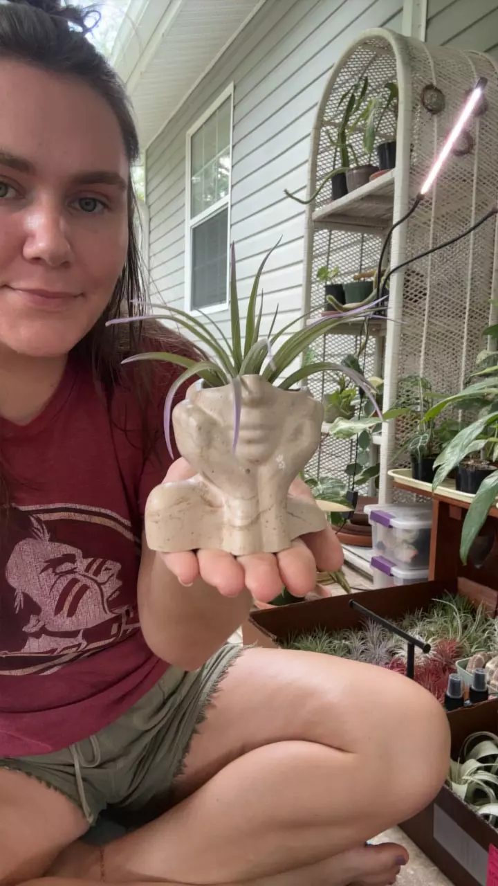 plant/Lil lady-0