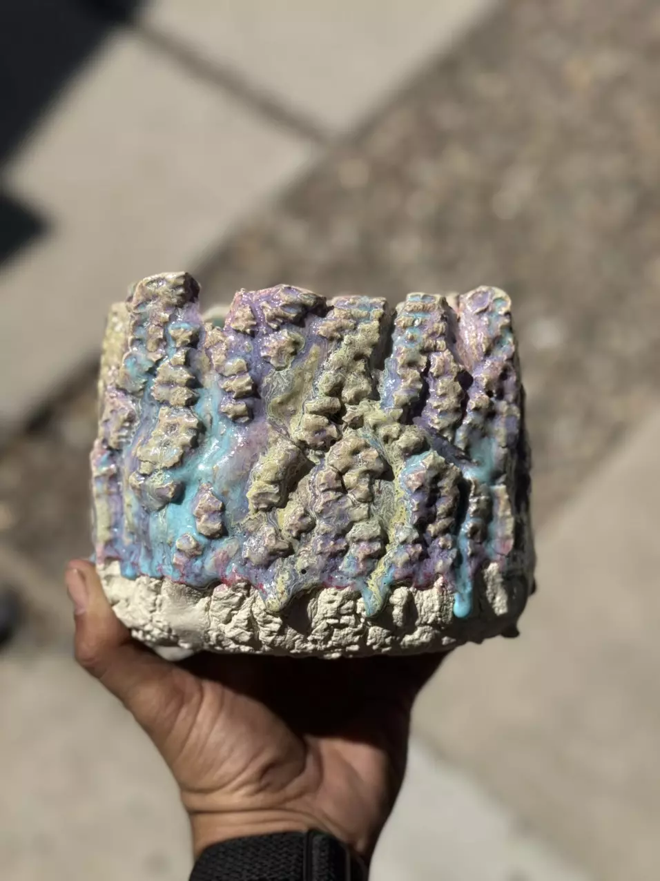 plant/Variegated cotton candy square 5.5x5H-0