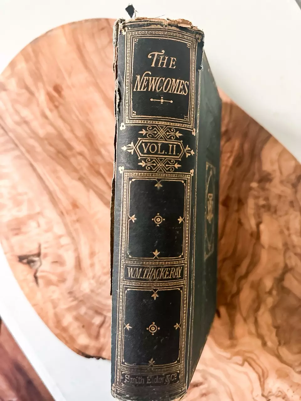 plant/Antique 1897 “The Newcomer’s”-1