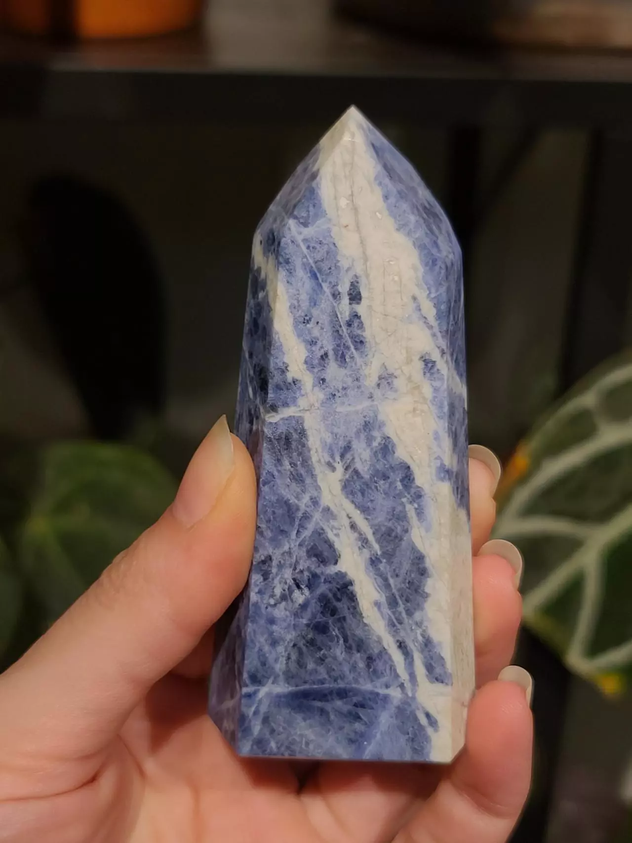 plant/Sodalite tower-0