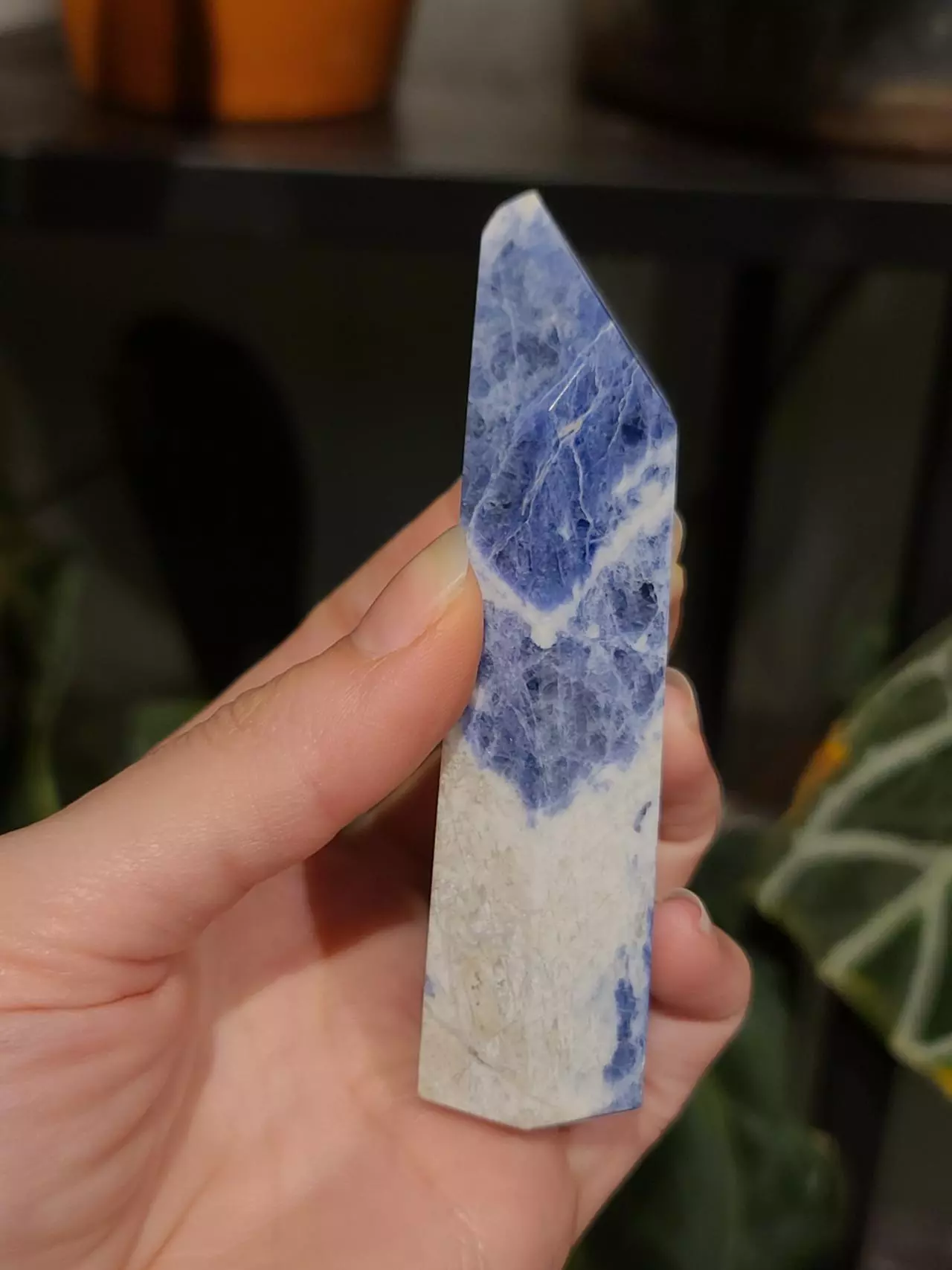 plant/Sodalite tower-2