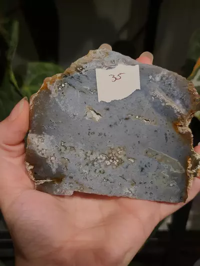 plant/Ocean Jasper slab-2-thumbnail
