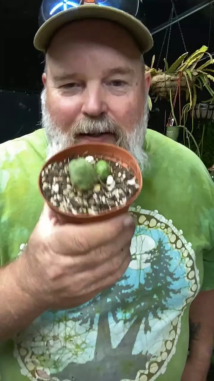 plant/Pee pee-0