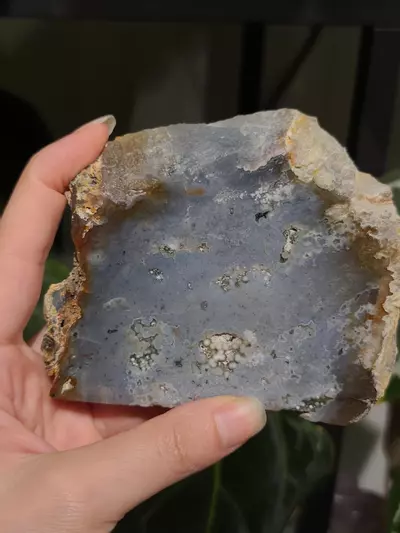 plant/Ocean Jasper slab-0-thumbnail