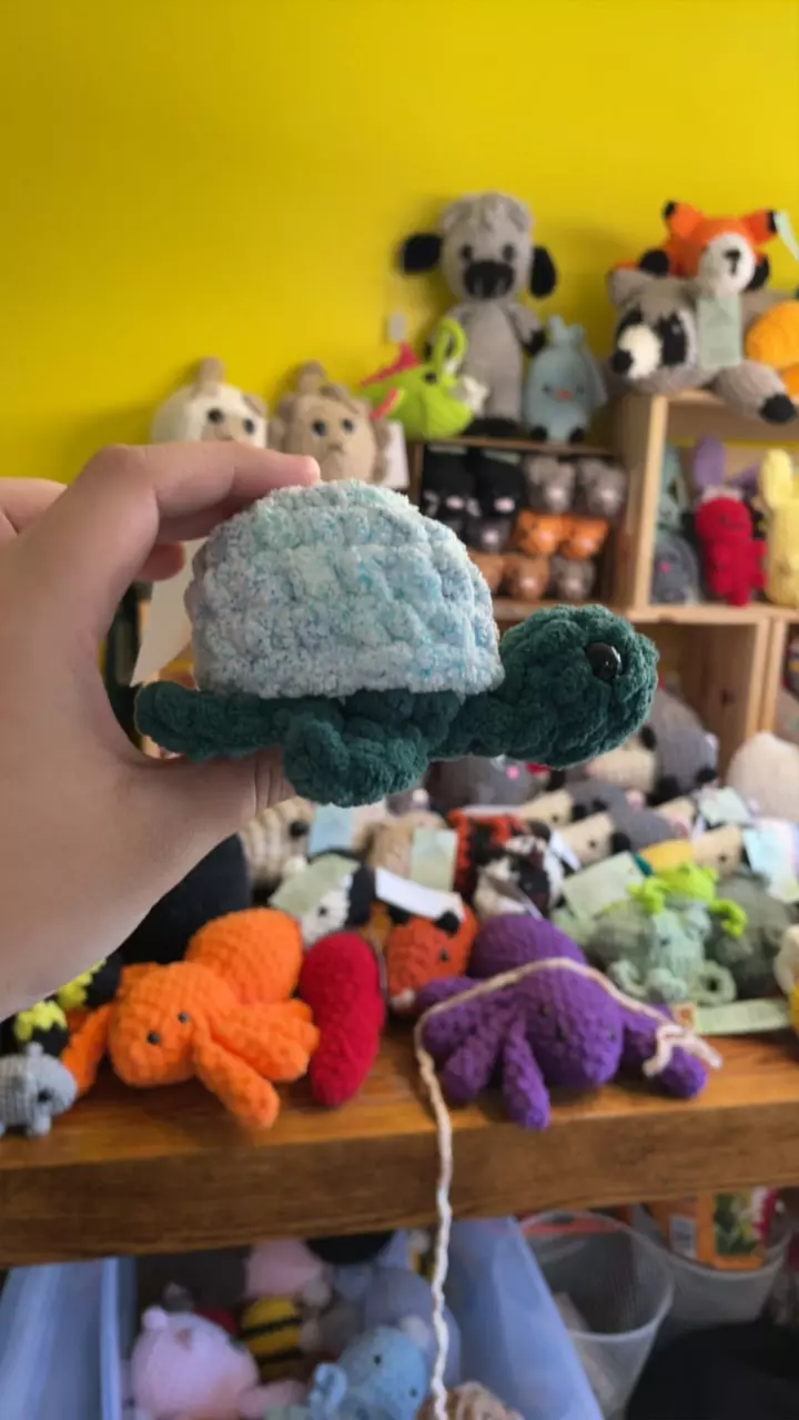 plant/Blue Speckle Turtle-0