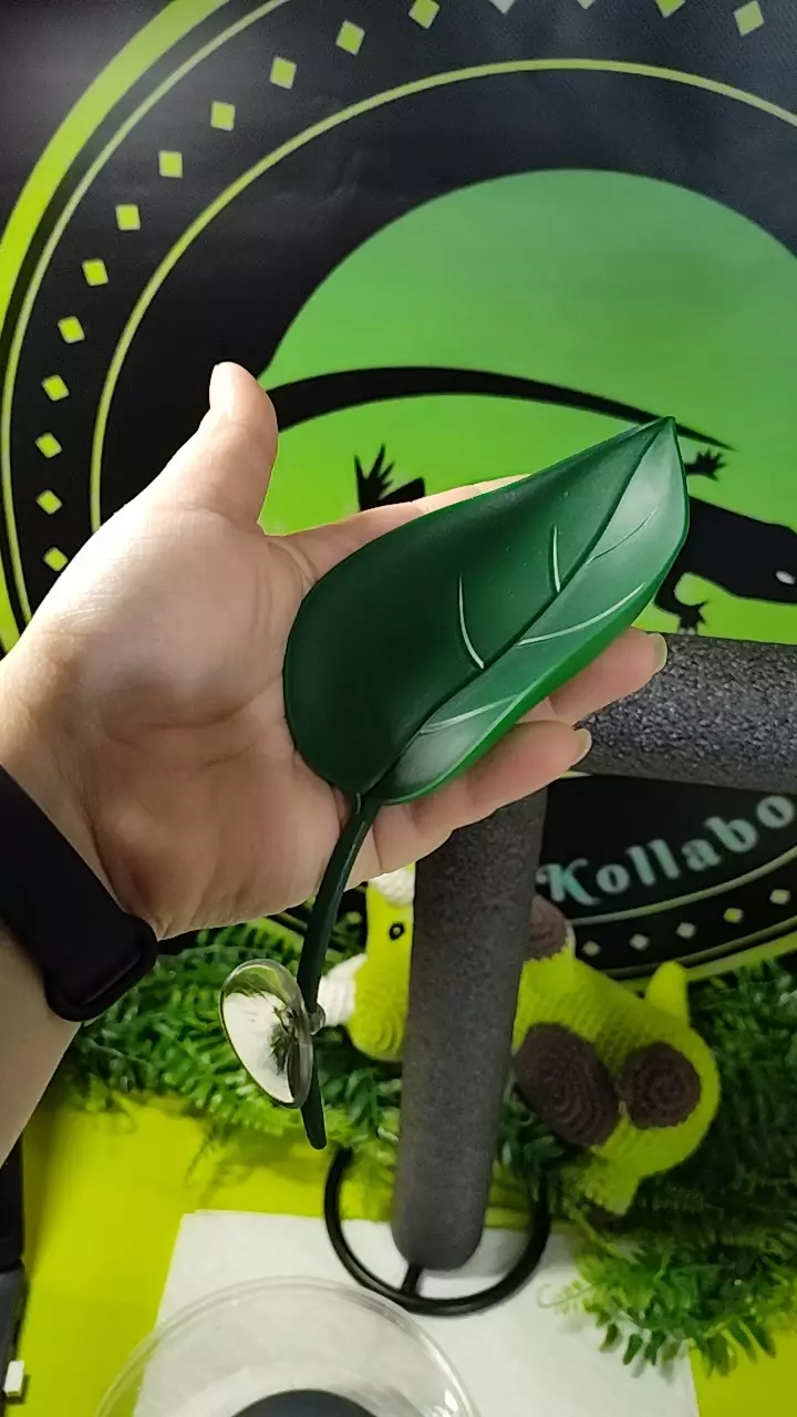 plant/Leaf Perch-0