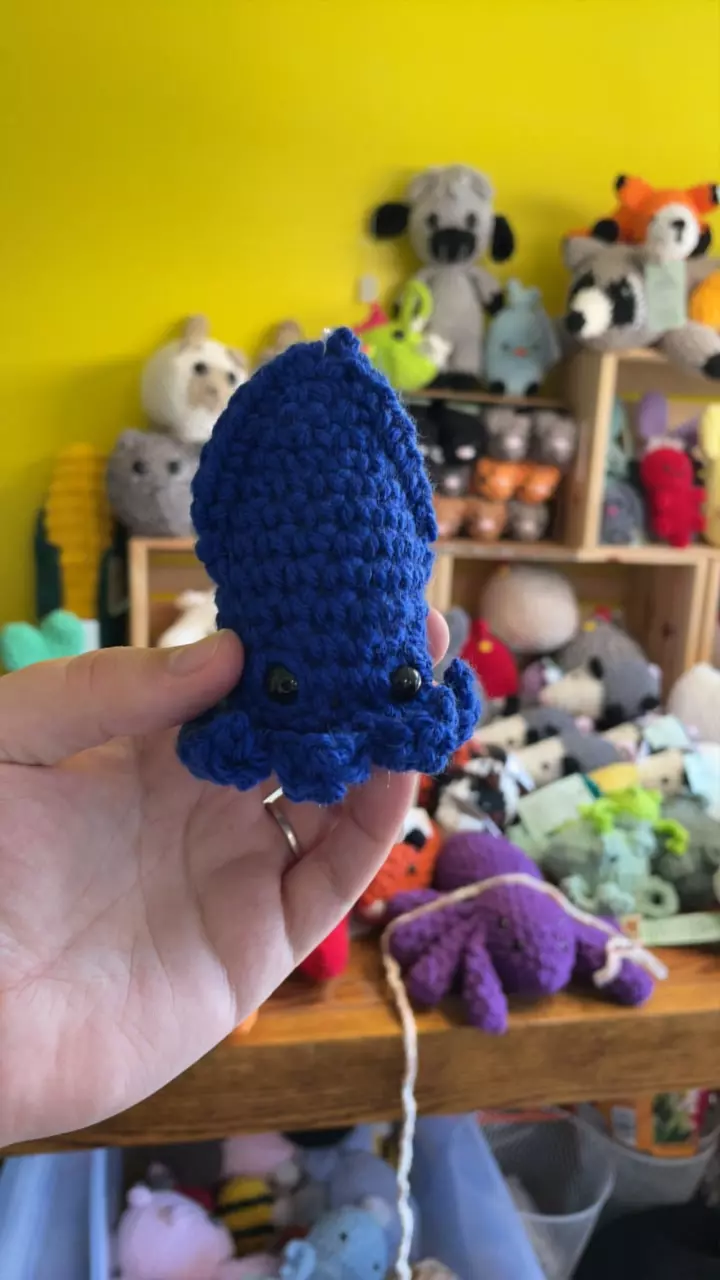 plant/Blue Squid-0