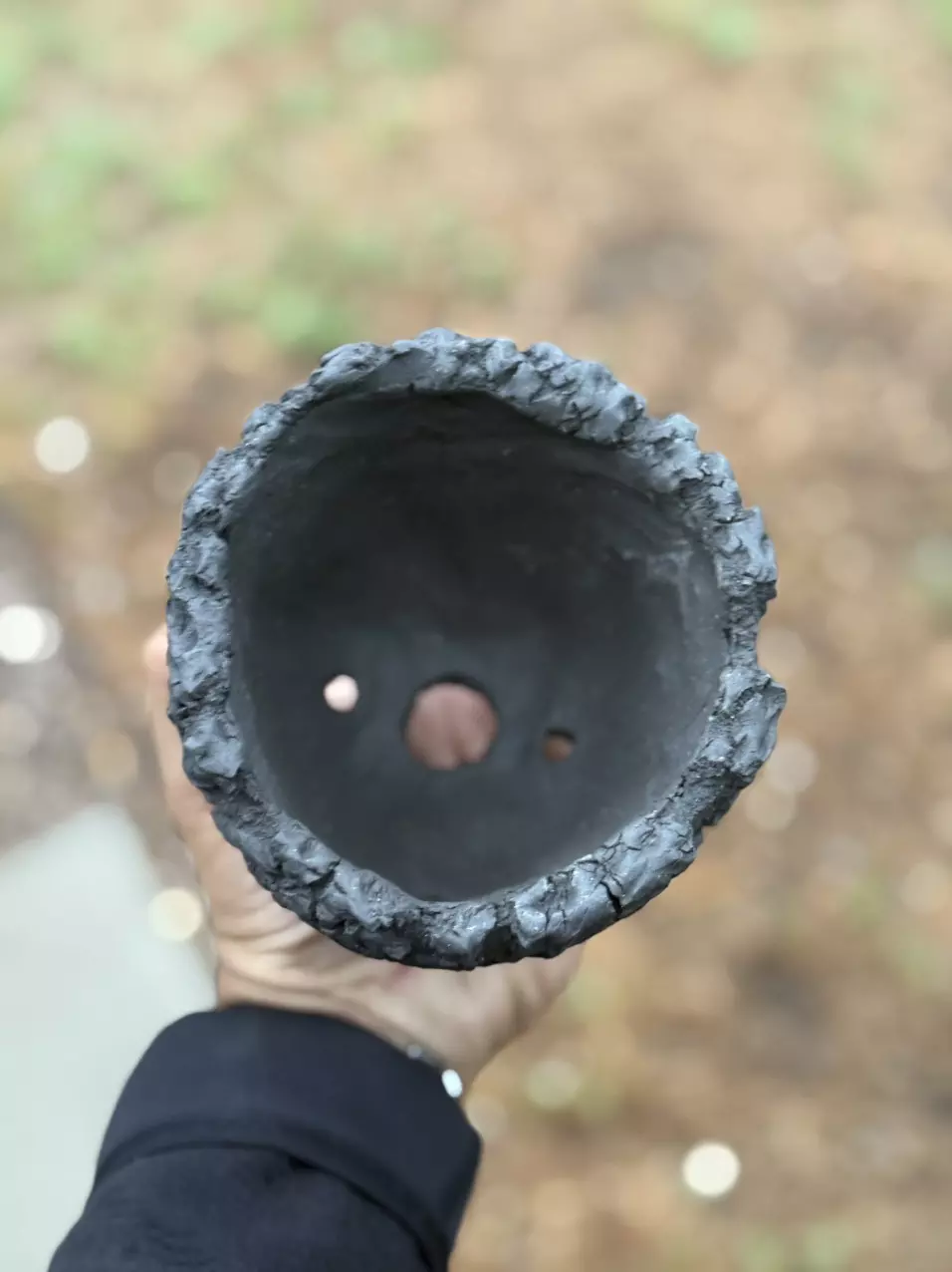 plant/Triple black footed 5x4.25H-1