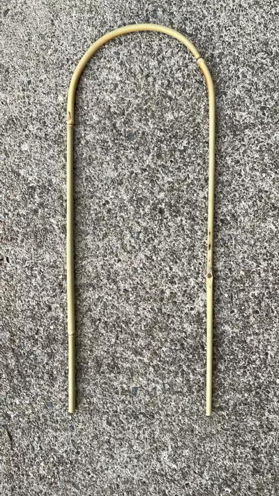 plant/Receive 6 trellis-0-thumbnail