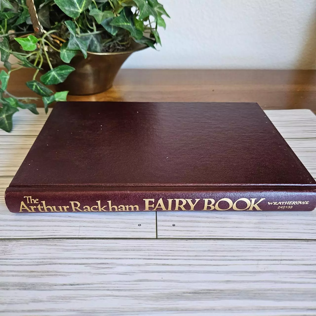 plant/Arthur Rackham's Fairy Book-1
