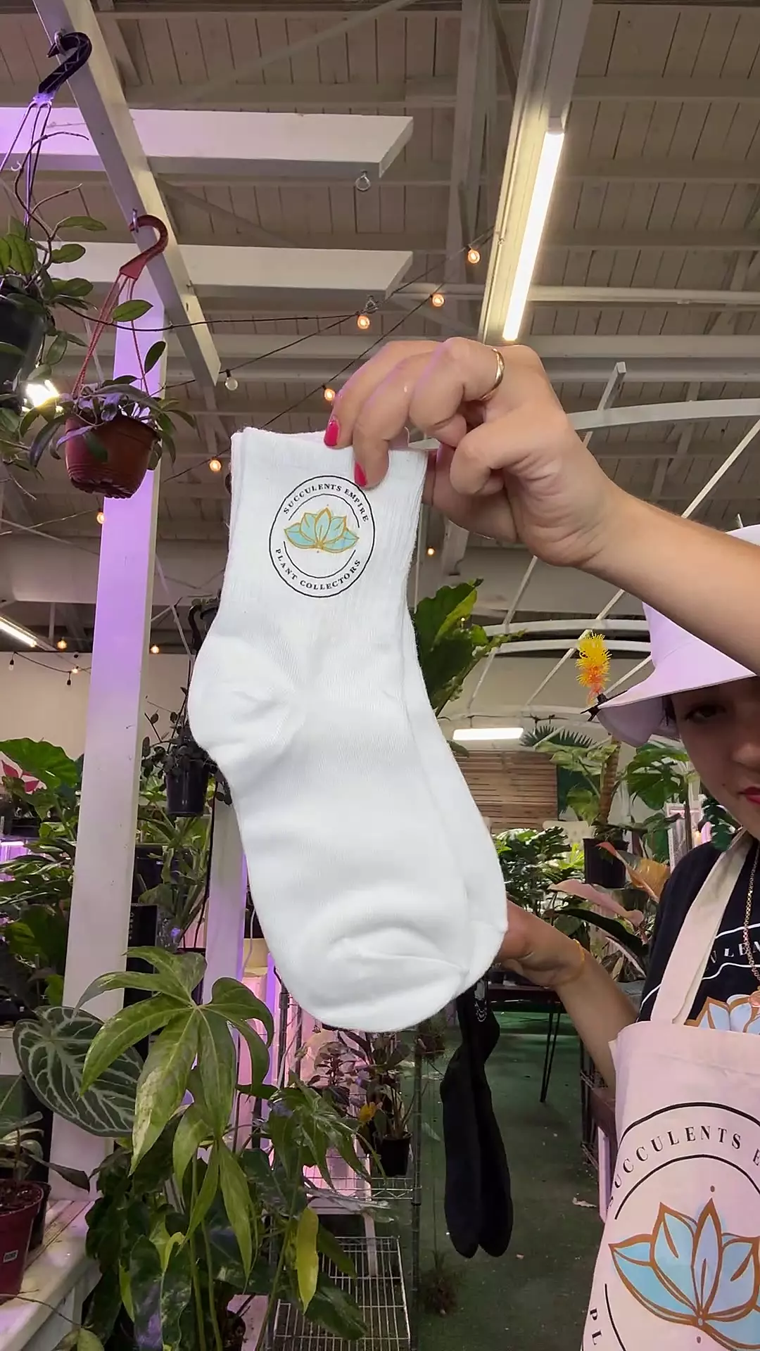 plant/succulents empire 🧦 white-0