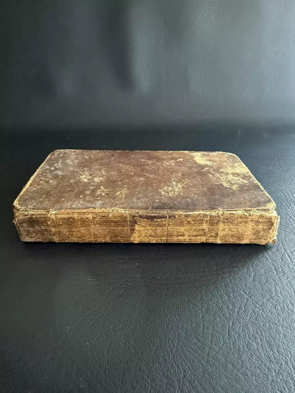 plant/1789 Leather Book-1