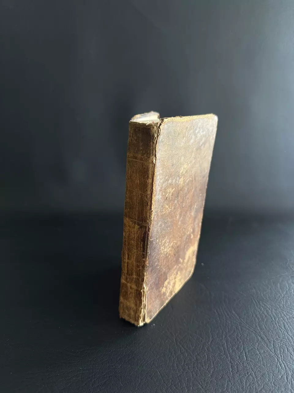 plant/1789 Leather Book-0