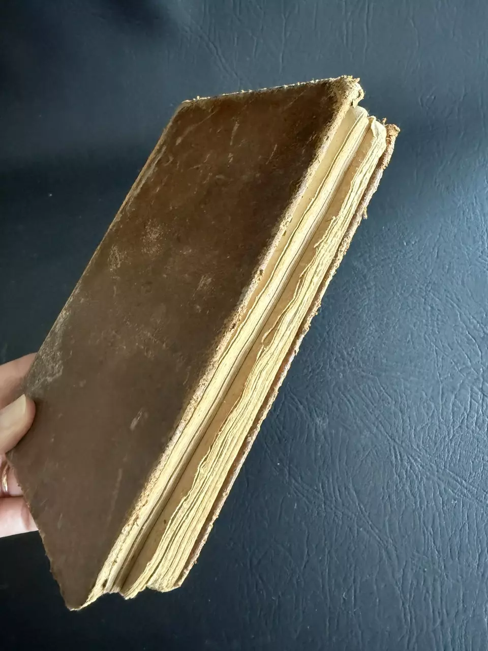 plant/Rhetorical Reader book 1852-5